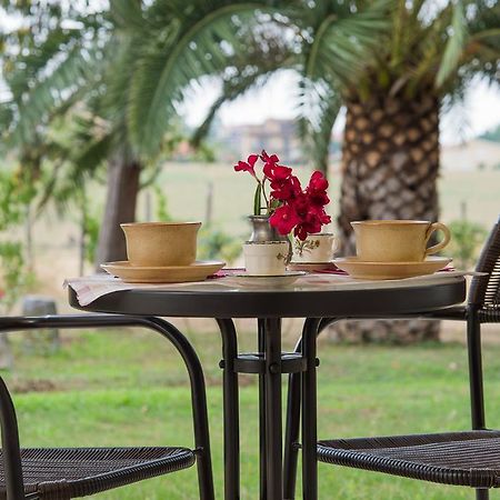 Villa Degli Oleandri Bnb Рим Экстерьер фото